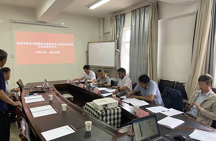 优质香型杂交粳稻新品种滇禾优34选育应用 anli.jpg